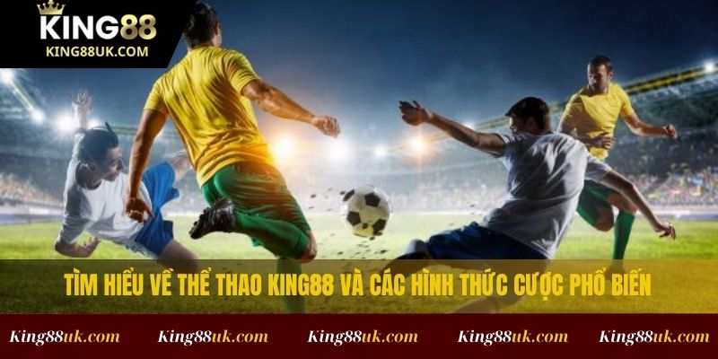 THỂ THAO 1 Tìm hiểu về thể thao King88 và các hình thức cược phổ biến