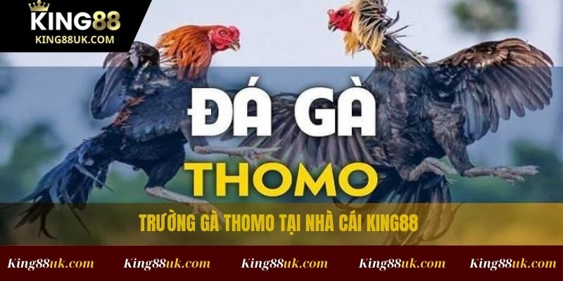 Trường Gà Thomo