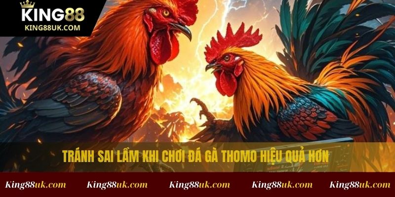 Trường Gà Thomo: Các Mẹo Chơi Giúp Tăng Tỷ Lệ Thắng 4 Tránh sai lầm khi chơi đá gà Thomo hiệu quả hơn